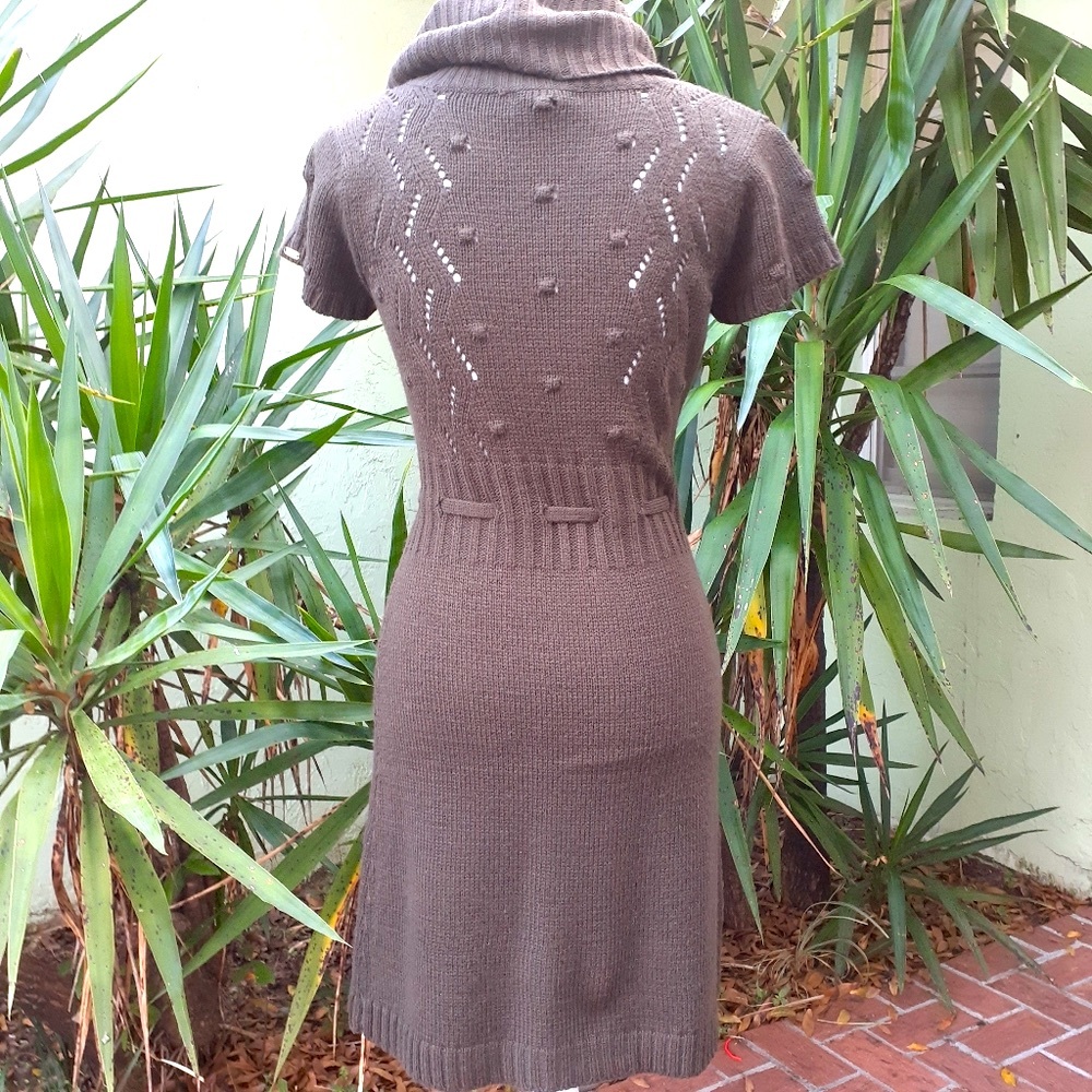 Brown Belted Sweater Dress - Picture 3 of 6